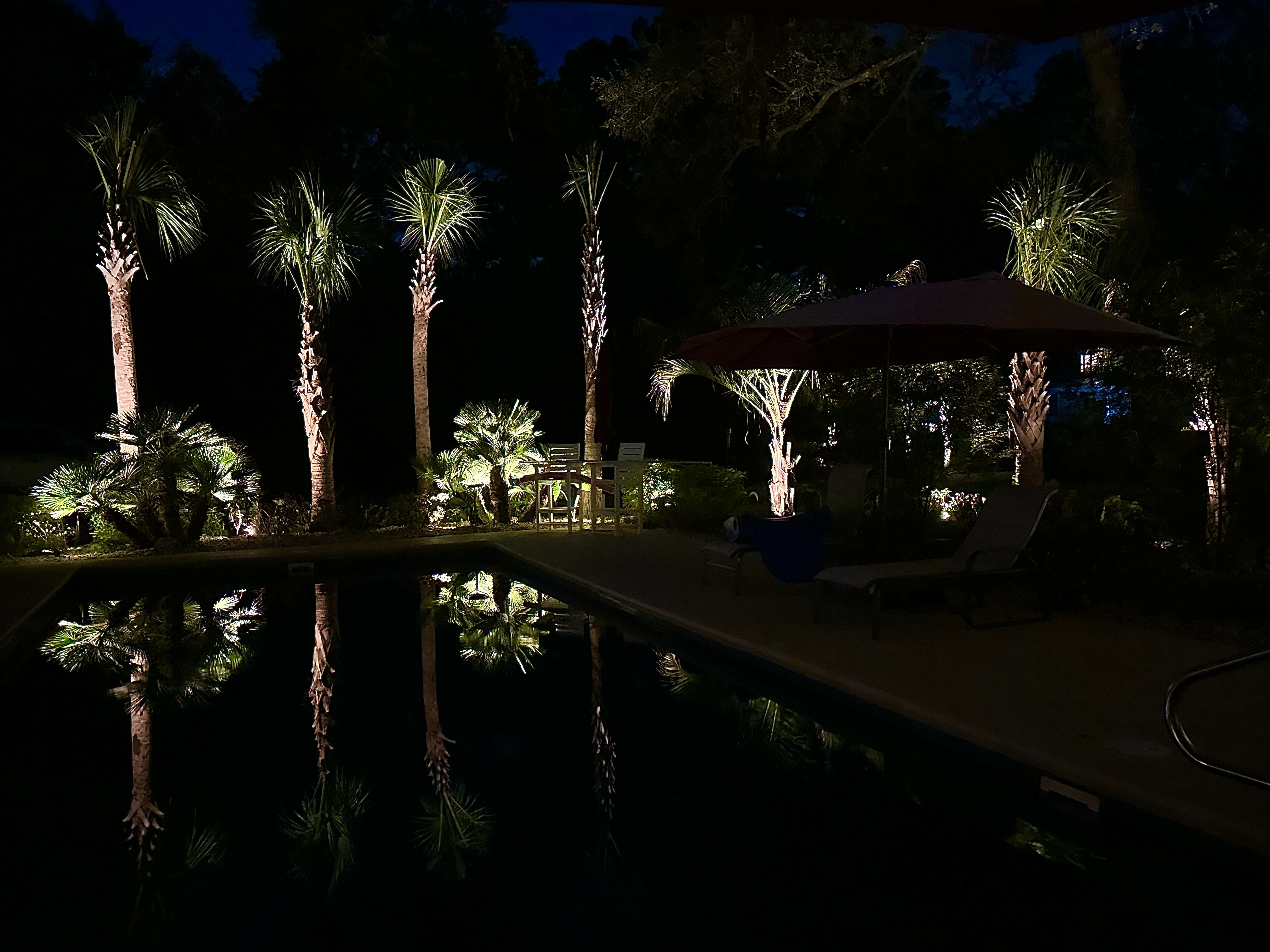 Pool Surround & Palm Uplighting — Reflection at Night