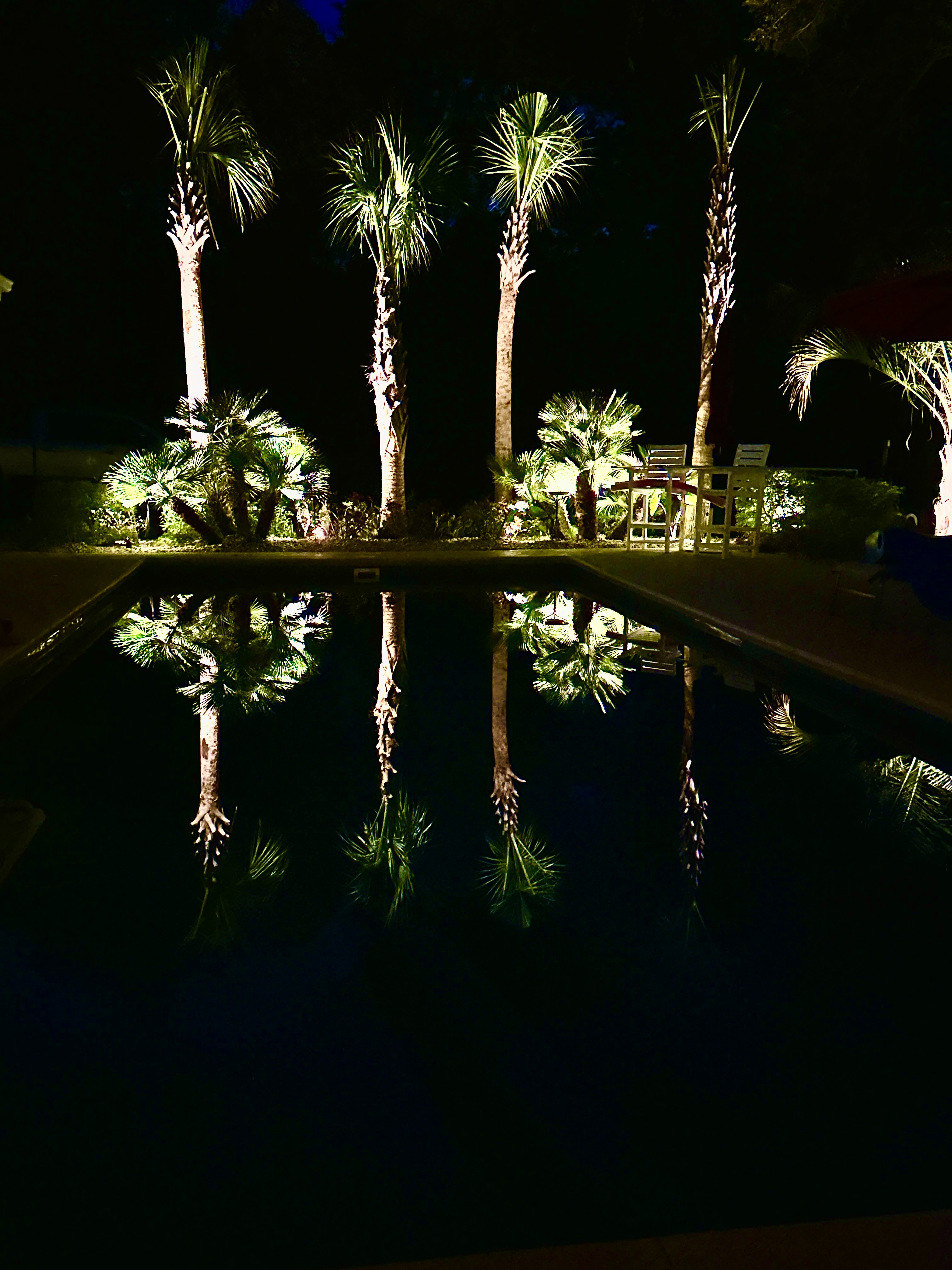Poolside Palm Uplighting — Mirror Reflection