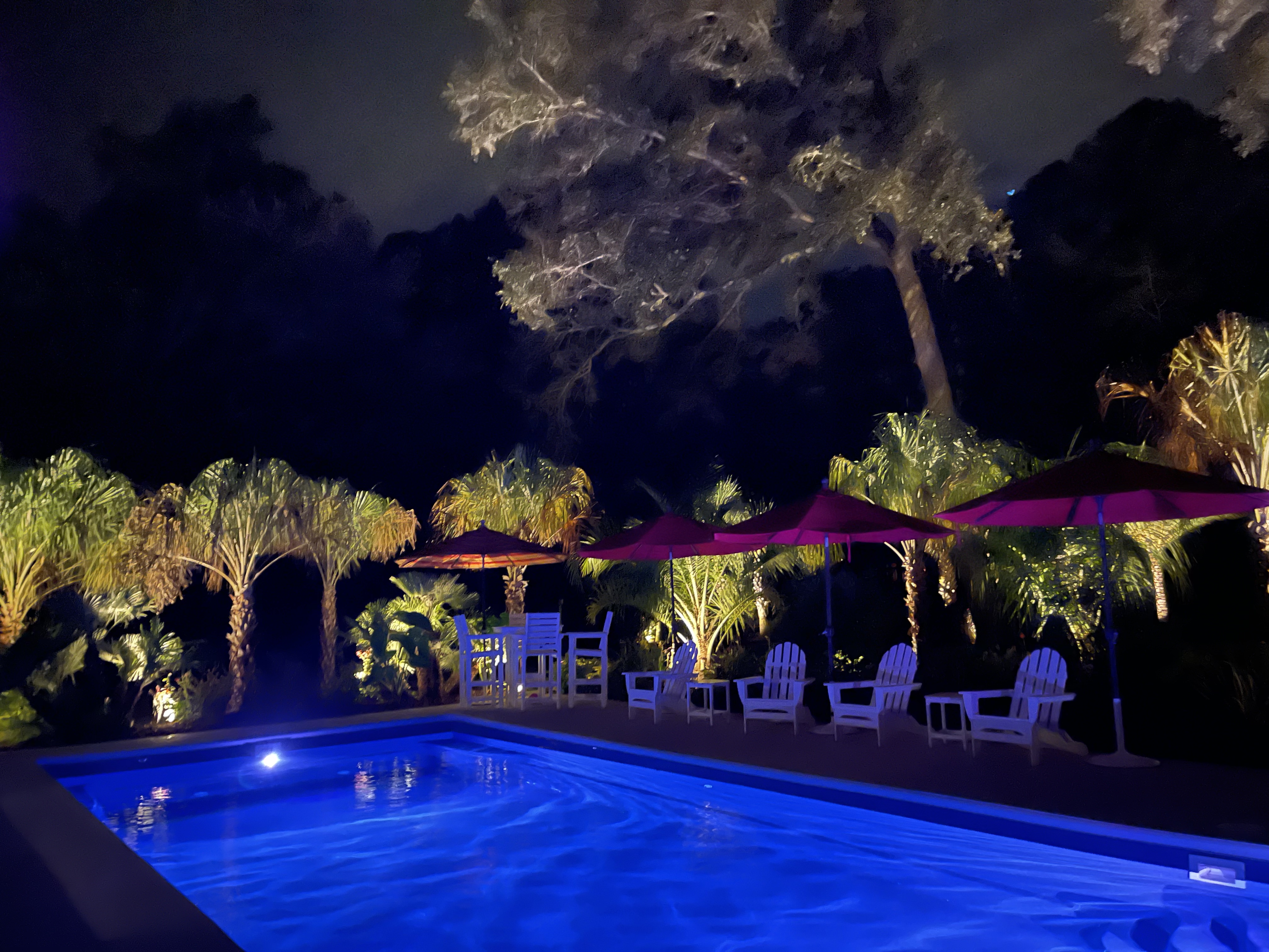 Resort-Style Pool Lighting — Multi-Palm Install