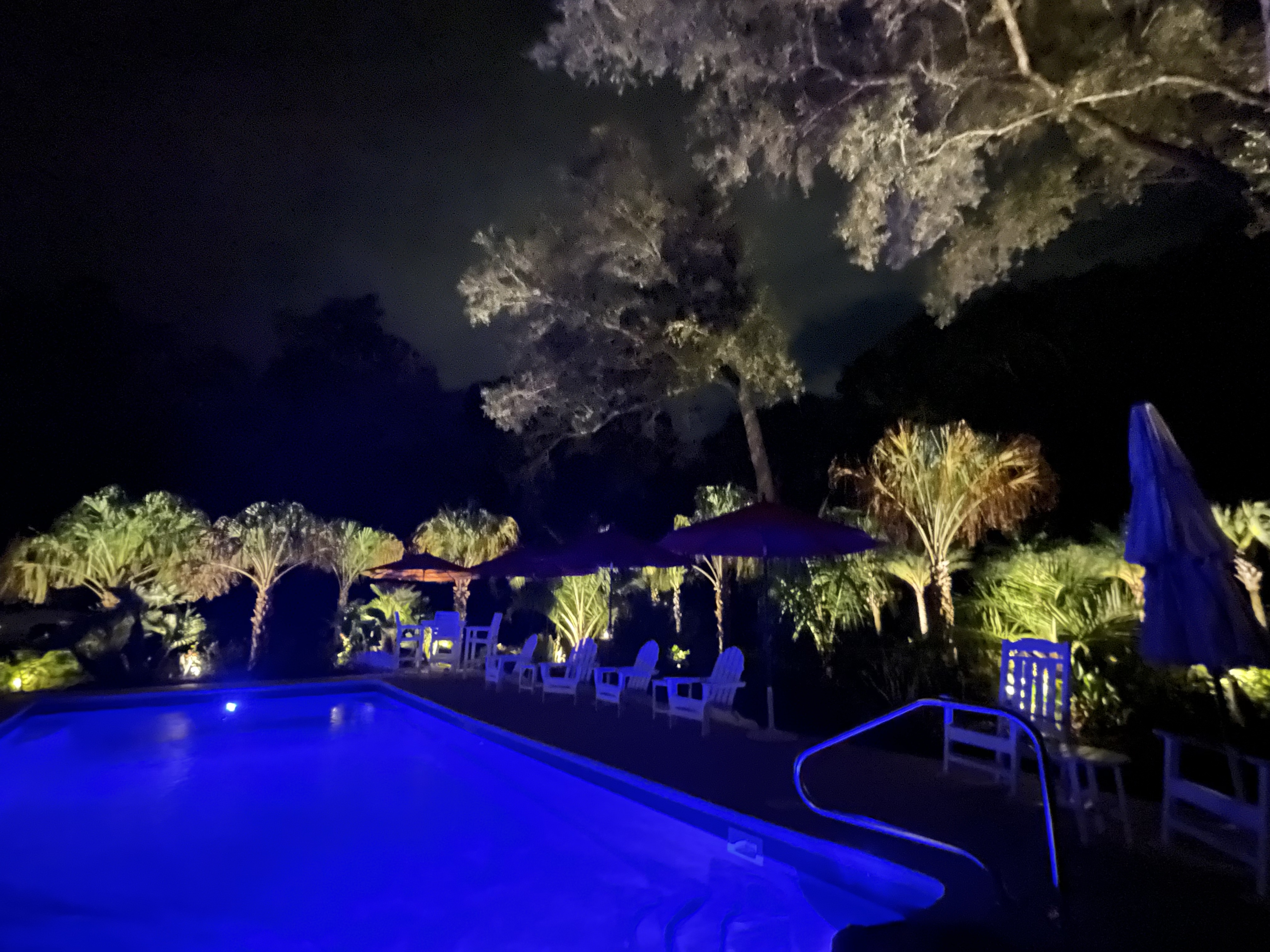 Poolside Landscape Lighting — Full Property